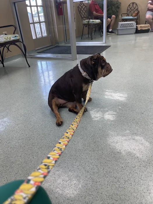 Winder Animal Hospital 10