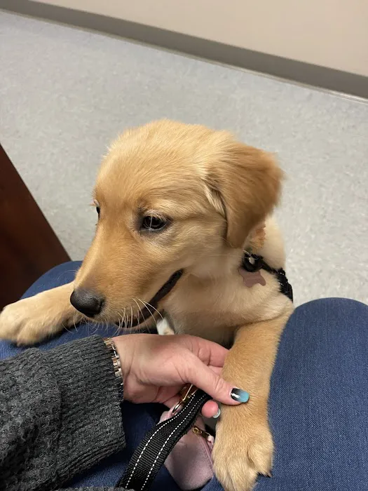 Bethlehem Veterinary Hospital 1