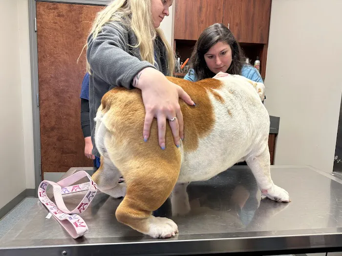Bethlehem Veterinary Hospital 7