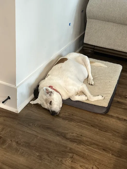 Banfield Pet Hospital 1
