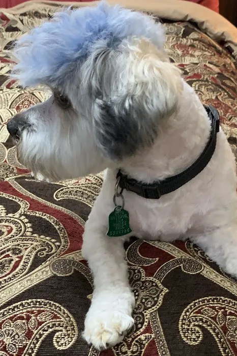 Banfield Pet Hospital 4