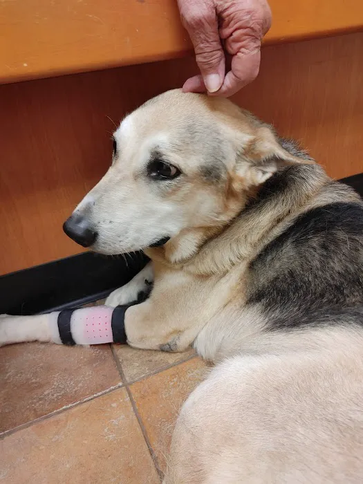 Banfield Pet Hospital 6