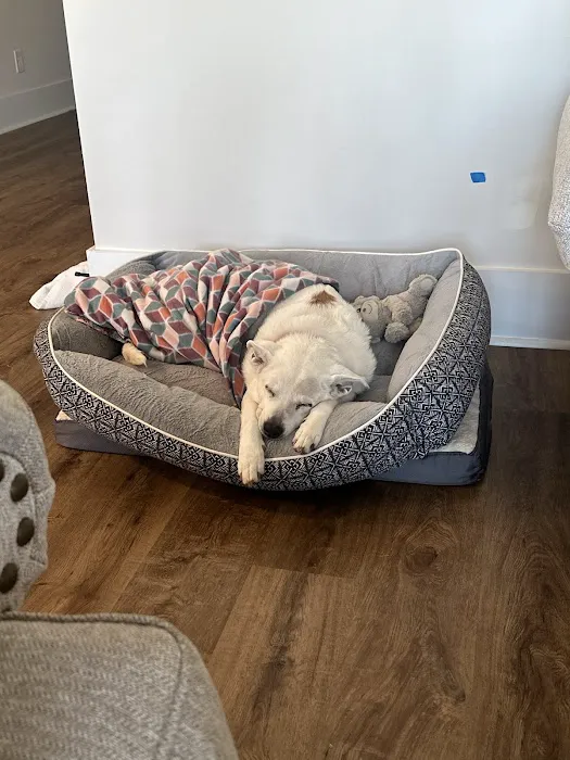 Banfield Pet Hospital 5