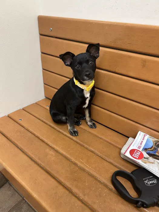 Banfield Pet Hospital 8