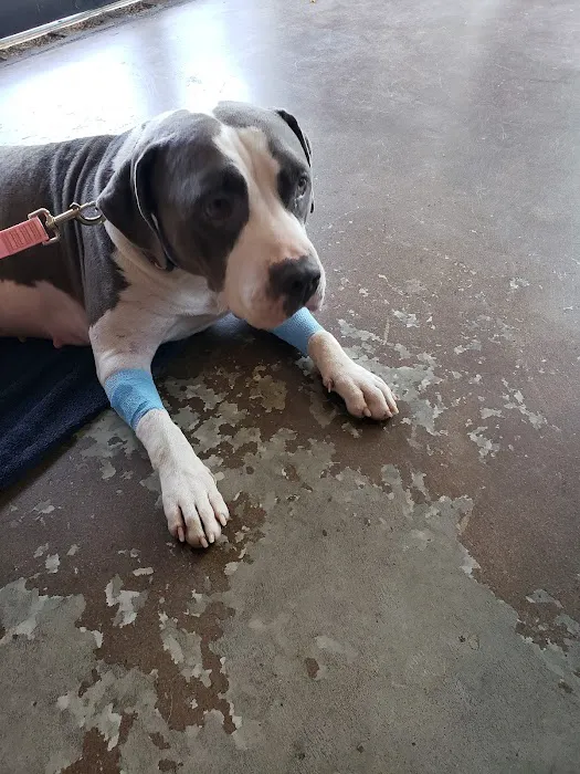 MAC Animal Clinic 12