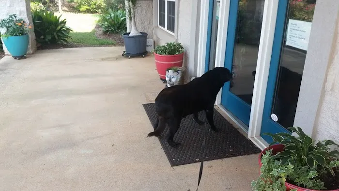 Auburn Veterinary Hospital 12