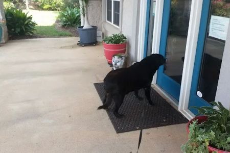Auburn Veterinary Hospital
