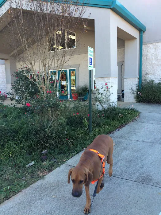 Auburn Veterinary Hospital 12