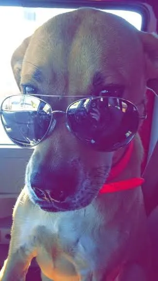 Parkway Animal Hospital 5