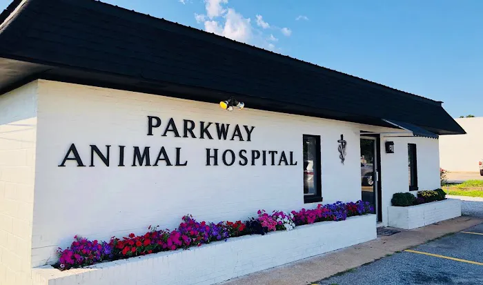 Parkway Animal Hospital 6