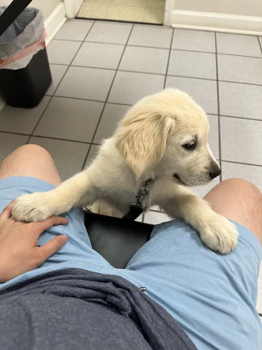FurBuds Veterinary 4