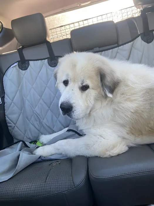 FurBuds Veterinary 8