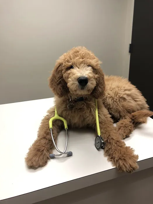 Moores Mill Animal Hospital 12