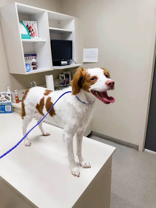 Moores Mill Animal Hospital 12