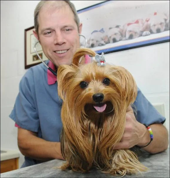 Dalton Animal Care (South) 2