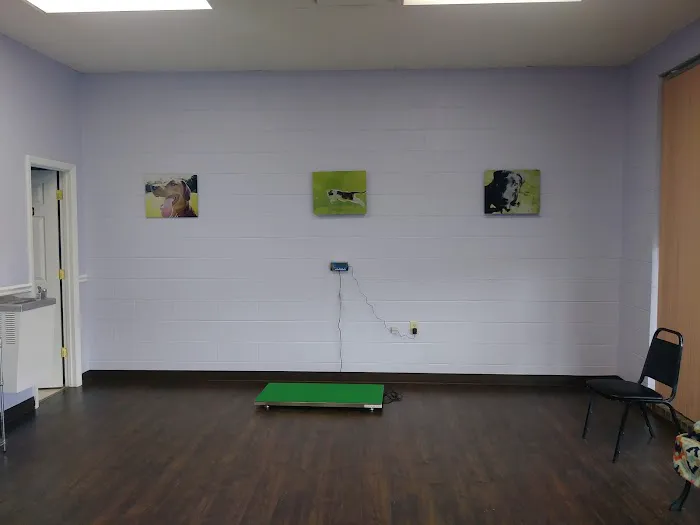 Zutilla Pet Clinic 12
