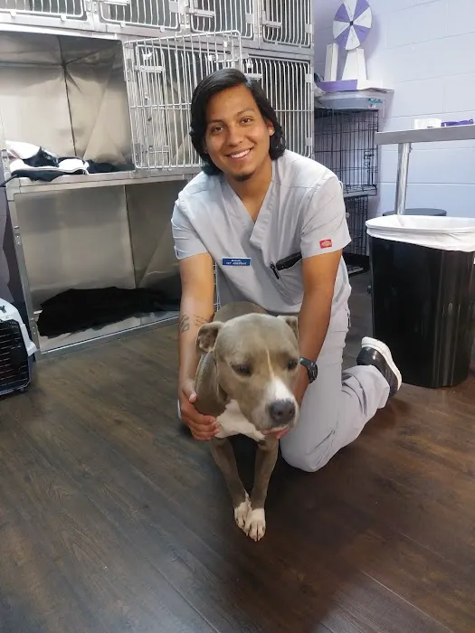 Zutilla Pet Clinic 12