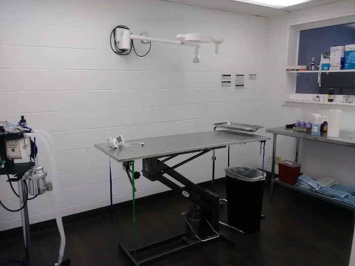 Zutilla Pet Clinic 12
