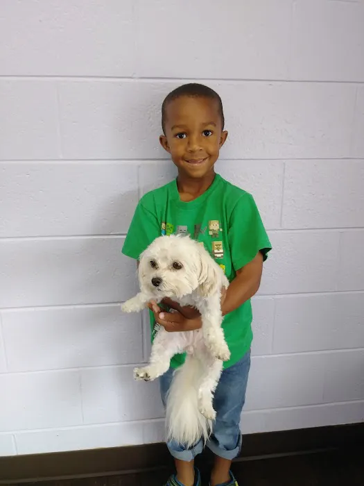 Zutilla Pet Clinic 12