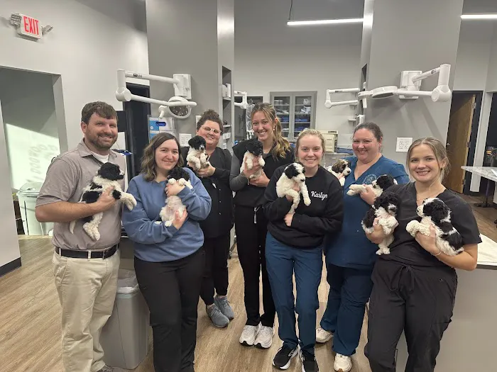 Dogwood Veterinary Medical Center 12