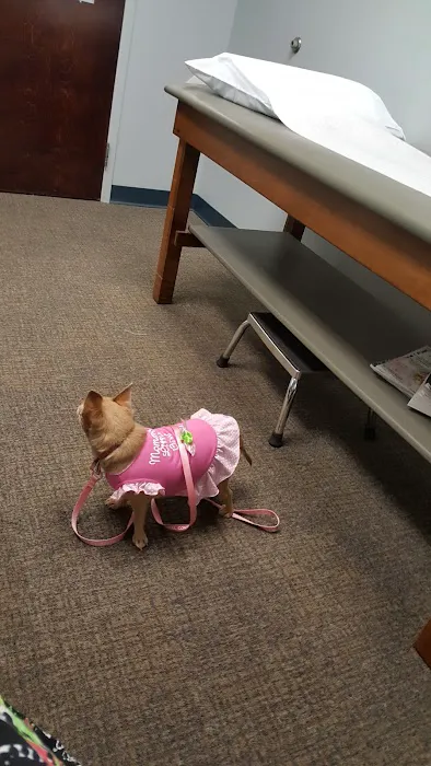 Four Paws Animal Hospital 2