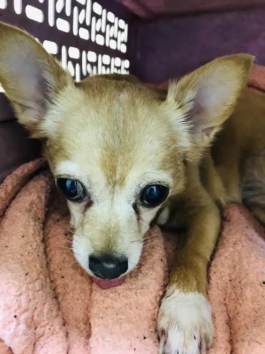 Riverside Veterinary Hospital Inc 12