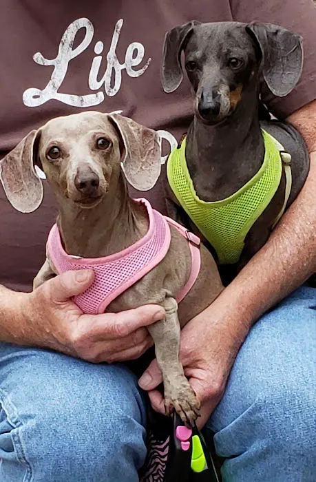 Riverside Veterinary Hospital Inc 12