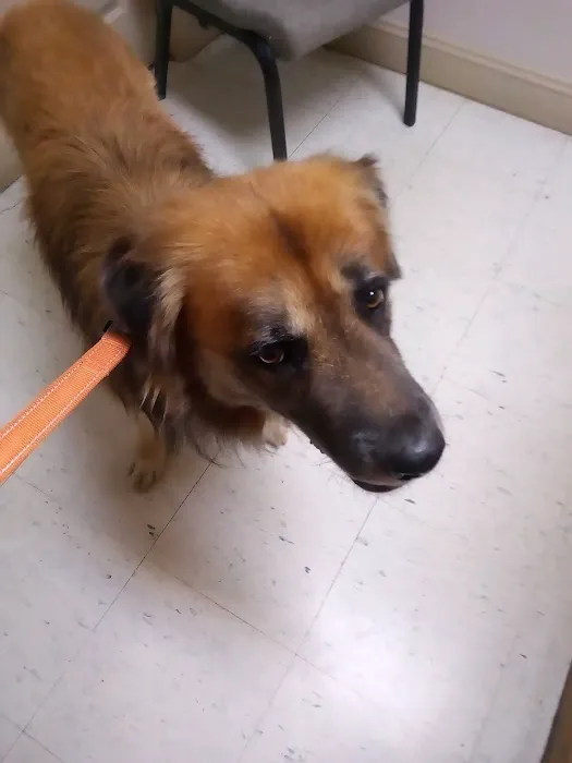 Riverside Veterinary Hospital Inc 12