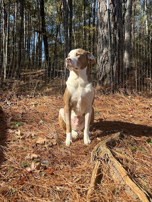 Lanett Animal Clinic 6