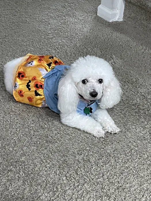 Banfield Pet Hospital 2