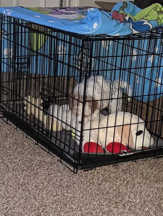 Banfield Pet Hospital 4
