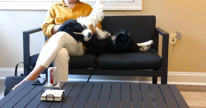 Veterinary Behavior Consultants, Dr Lynne Seibert 12