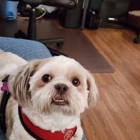 Society of Humane Friends Spay/Neuter Clinic ico