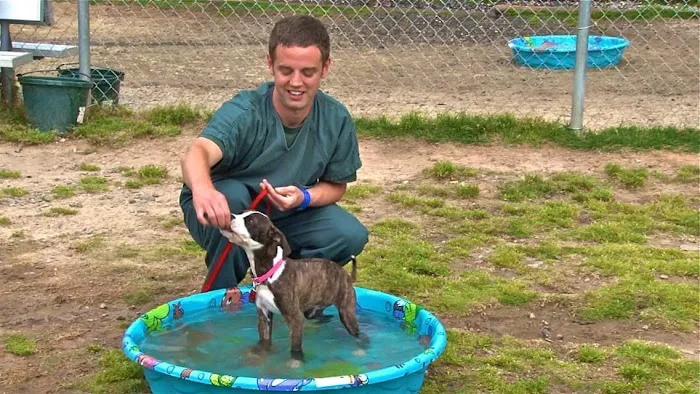 Society of Humane Friends Spay/Neuter Clinic 9