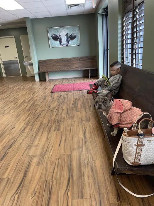 Gwinnett Animal Clinic 6