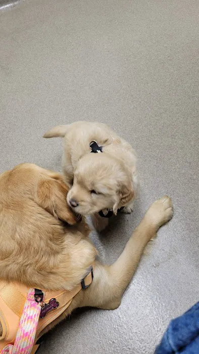 Gwinnett Animal Clinic 3