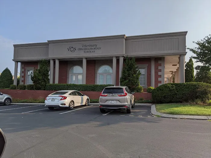 Veterinary Ophthalmology Services, Chattanooga 12