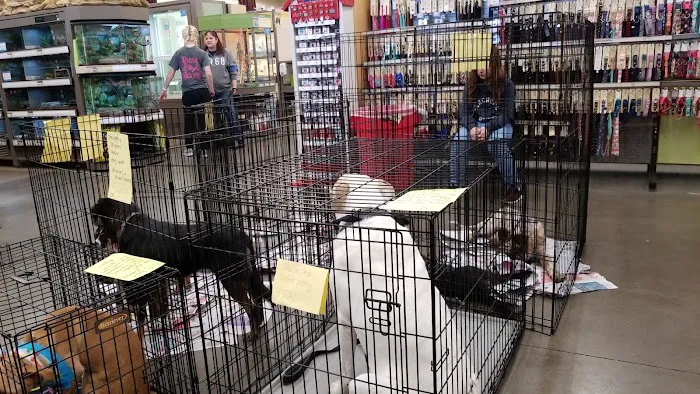 Vetco Vaccination Clinic 12