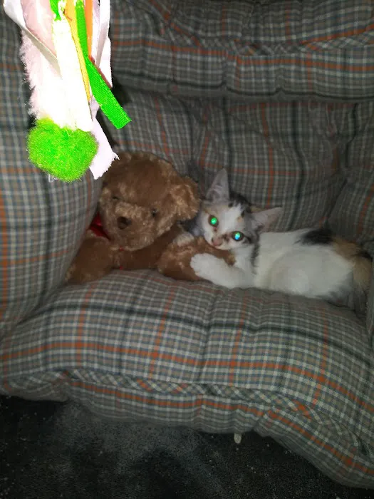 Red Bank Animal Hospital: Boggan Elizabeth DVM 12