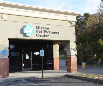 Hixson Pet Wellness Center: Denise Jones D.V.M.