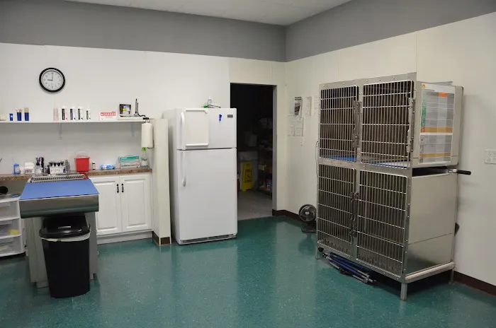 Hixson Pet Wellness Center: Denise Jones D.V.M. 7