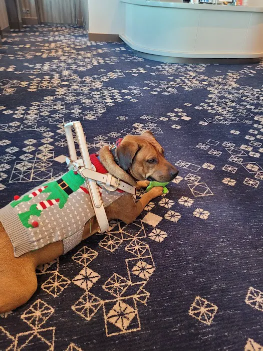 Banfield Pet Hospital 3