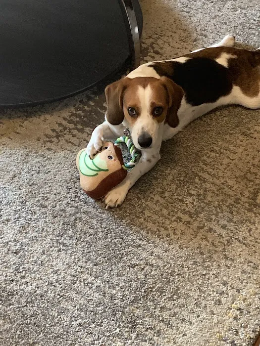 Banfield Pet Hospital 5