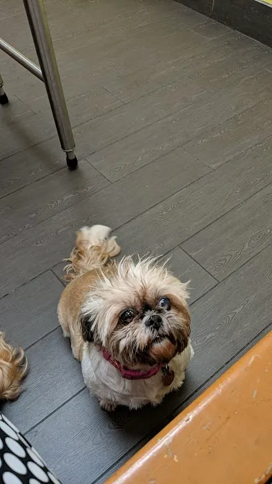 Banfield Pet Hospital 6