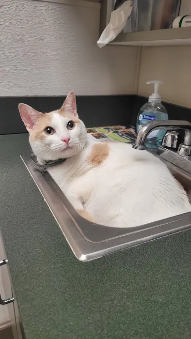 Wolftever Pet Wellness Group | East Hamilton 12