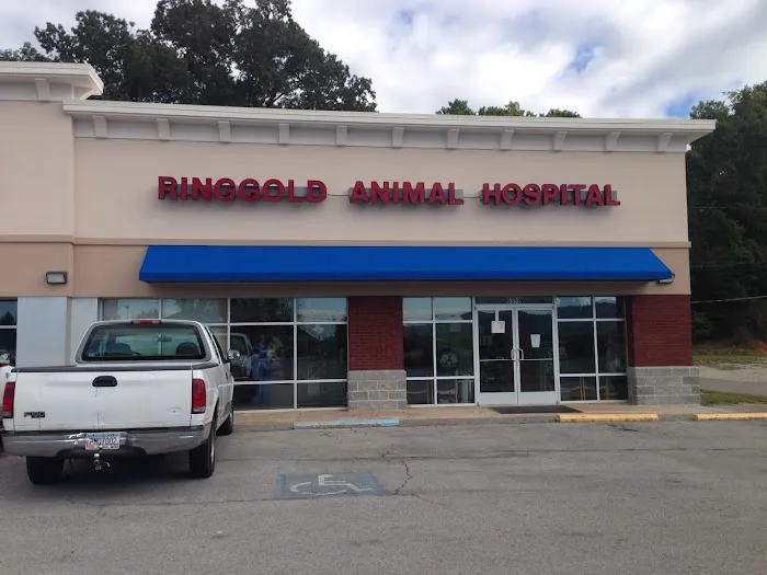 Ringgold Animal Hospital 1