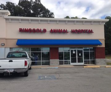 Ringgold Animal Hospital