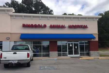 Ringgold Animal Hospital