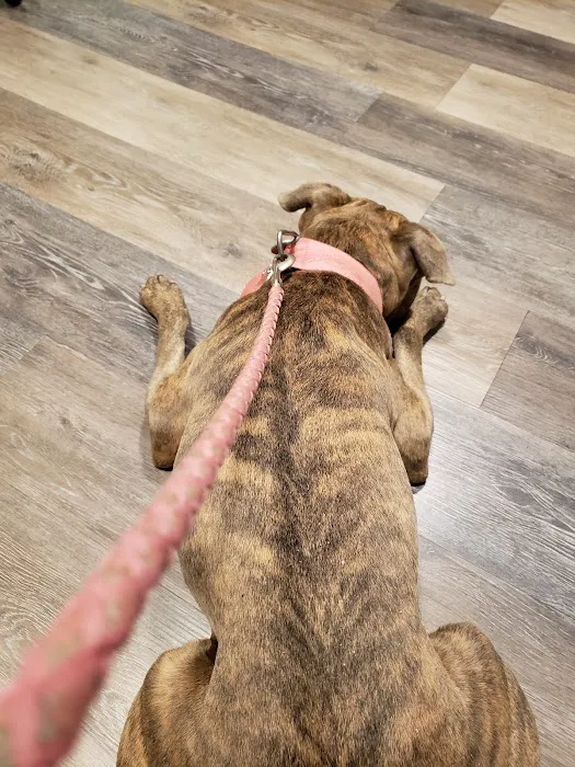 Applebrook Animal Hospital 3