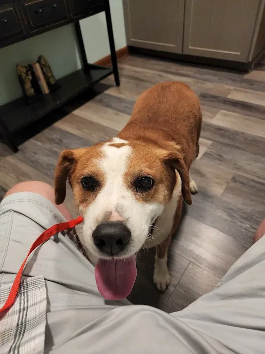Applebrook Animal Hospital 2